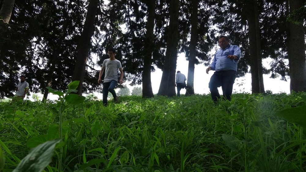 Trabzonlular her yerde 'göktaşı' arıyor