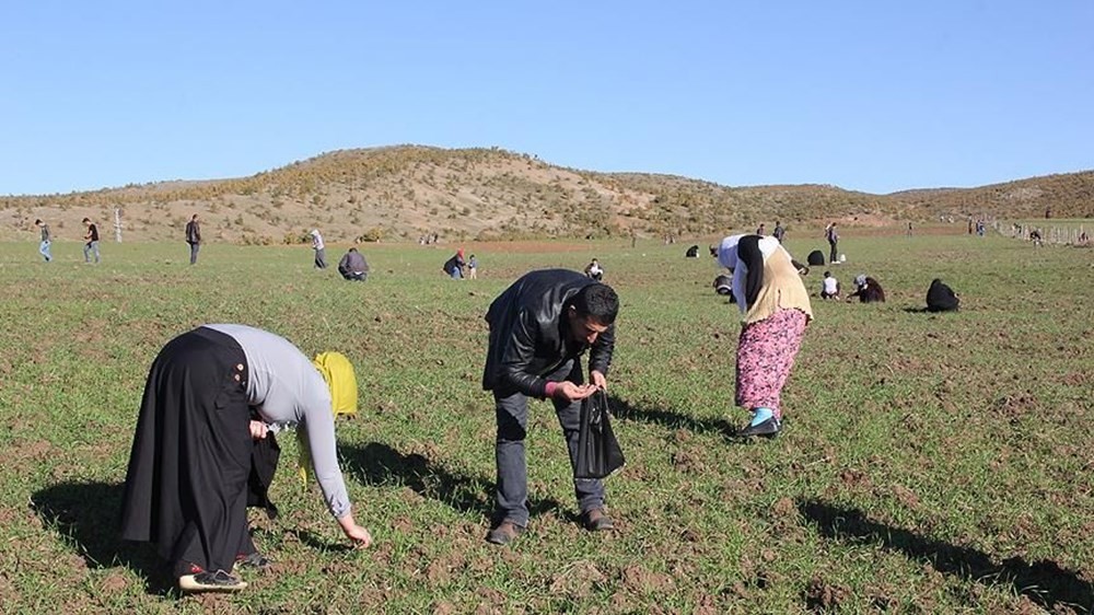 Trabzonlular her yerde 'göktaşı' arıyor