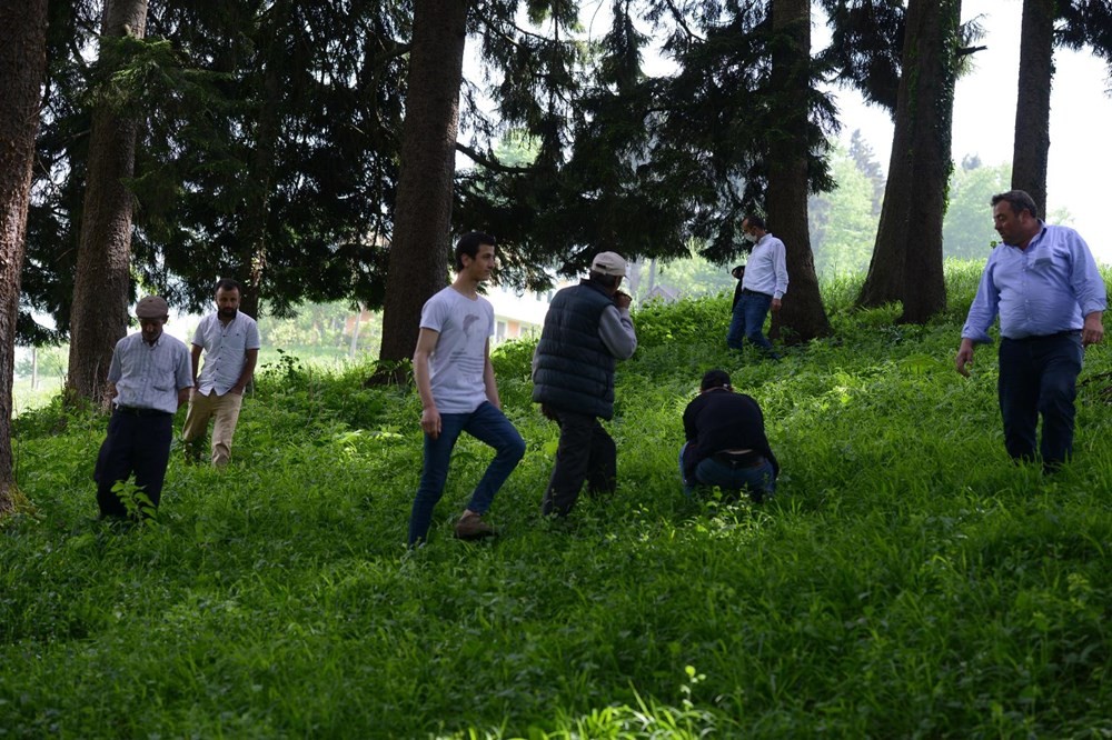 Trabzonlular her yerde 'göktaşı' arıyor