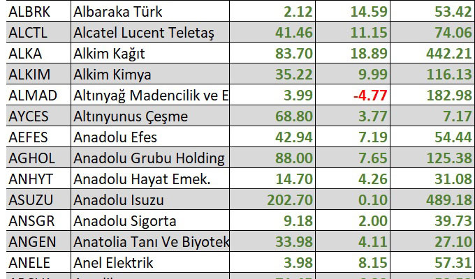 Yılbaşından bu yana en çok kaybettiren hisseler